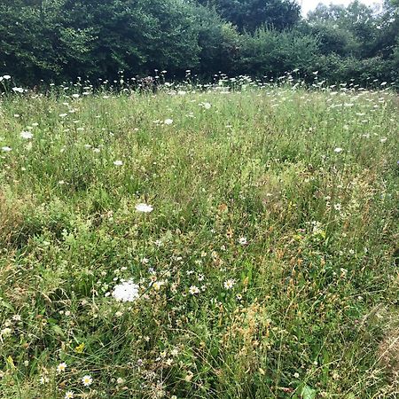 Erholung Auf Dem Land Zwischen Ostsee Und Schlei Stoltebull Ngoại thất bức ảnh