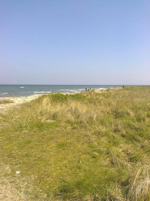 Erholung Auf Dem Land Zwischen Ostsee Und Schlei Stoltebull Ngoại thất bức ảnh