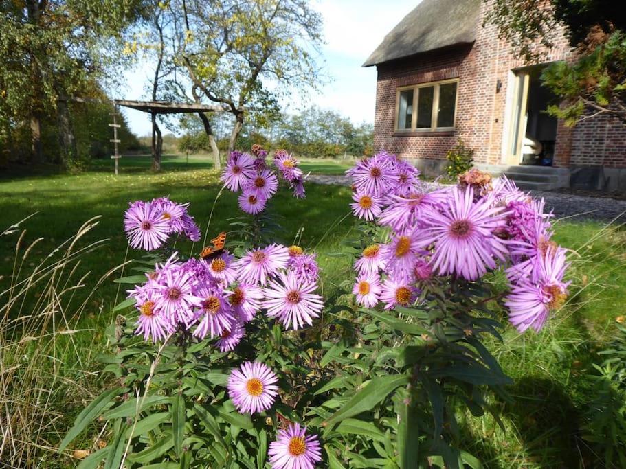 Erholung Auf Dem Land Zwischen Ostsee Und Schlei Stoltebull Ngoại thất bức ảnh